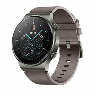 Huawei Watch GT2 Pro (Gray)
